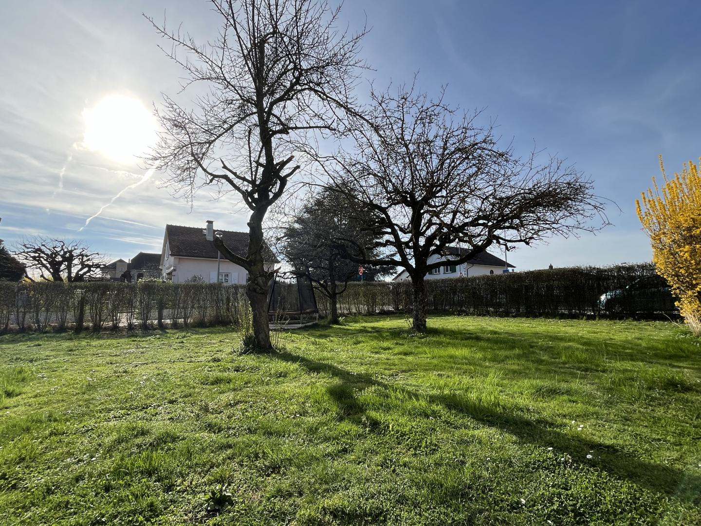 Maison multi-appartements 7.5 pièces à Payerne